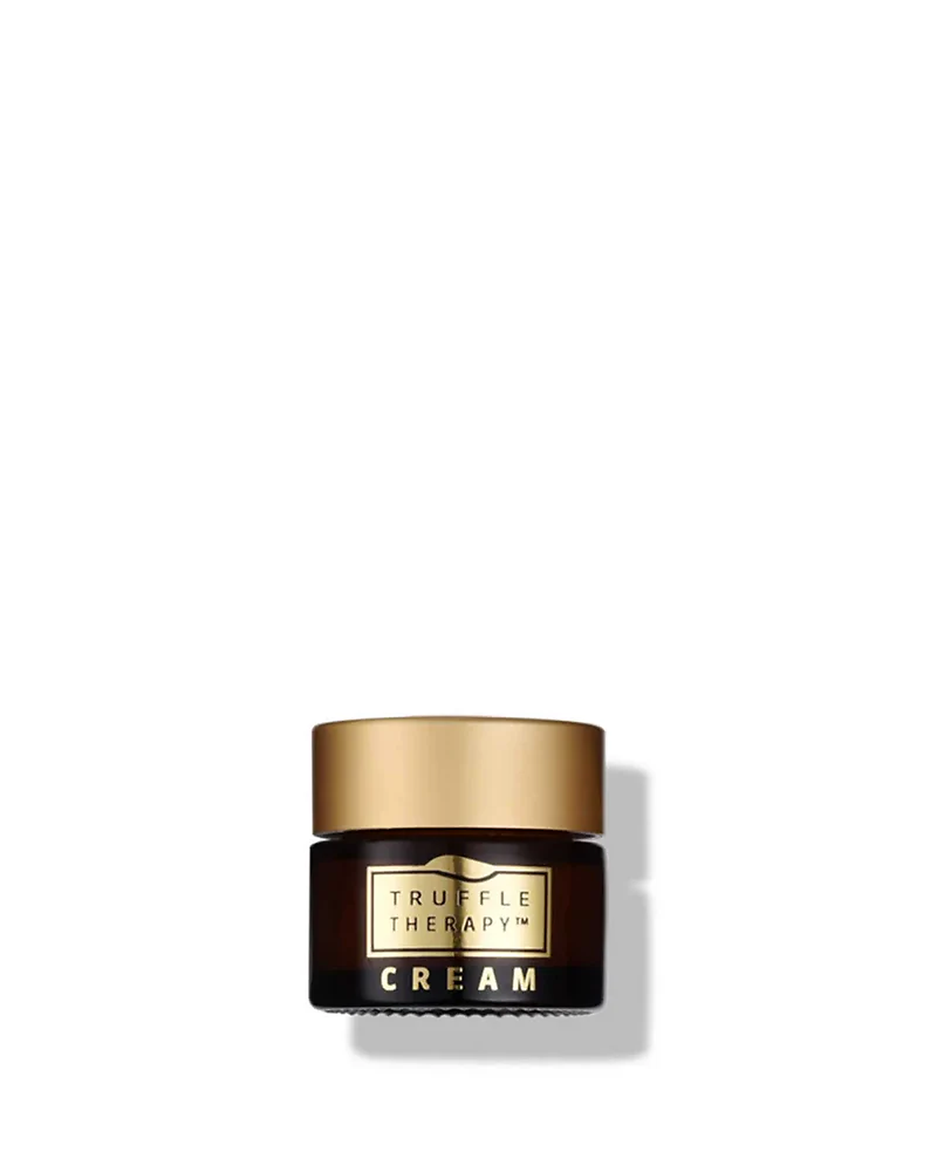 Drėkinamasis dieninis veido kremas-kelioninis dydis / Truffle Therapy Dew Day Creme Travel Size